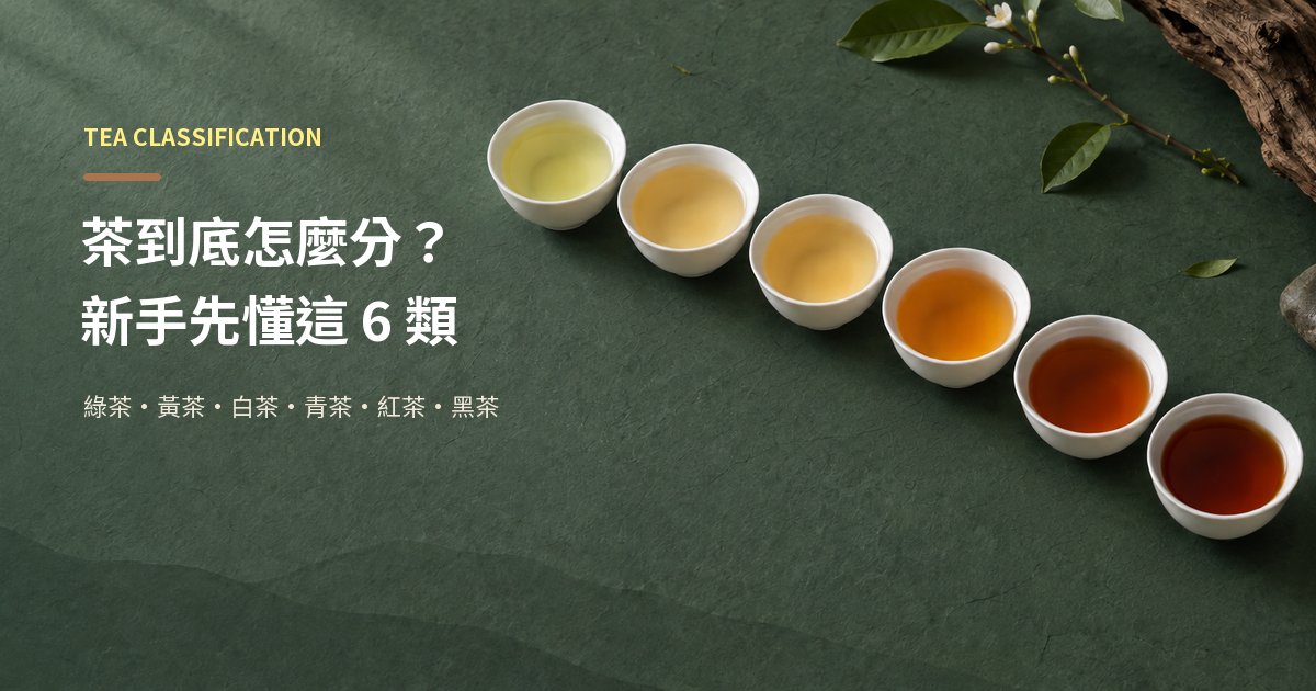 那麼多茶到底怎麼分？新手先懂 6 大茶類與關鍵工序